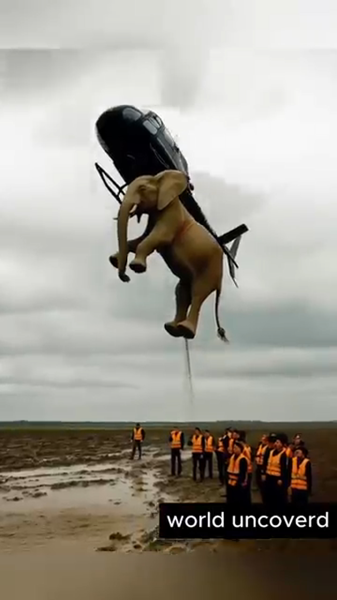 Helicopter Saves Elephant Stuck in Deep Mud – A Rescue You Have to See to Believe