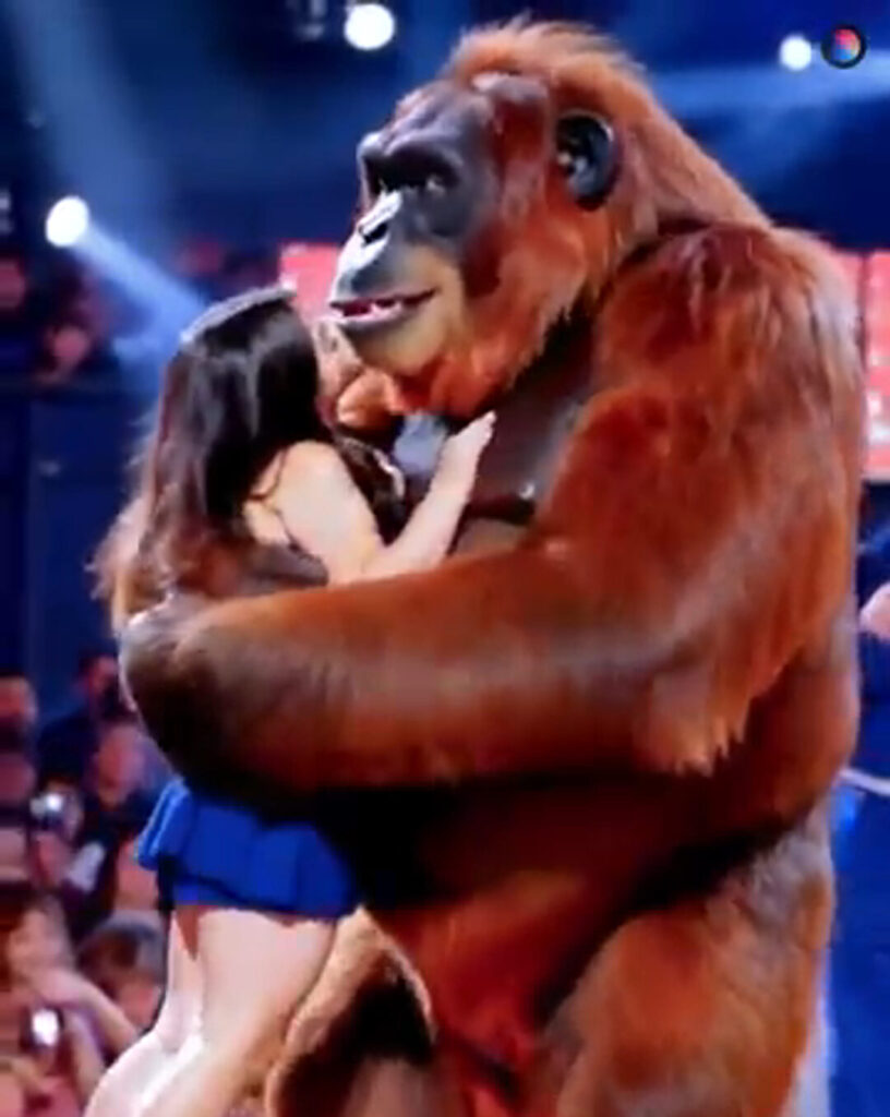 Fearless Performer Stuns AGT by Dancing with a Gorilla on Stage! – ANIMALS
