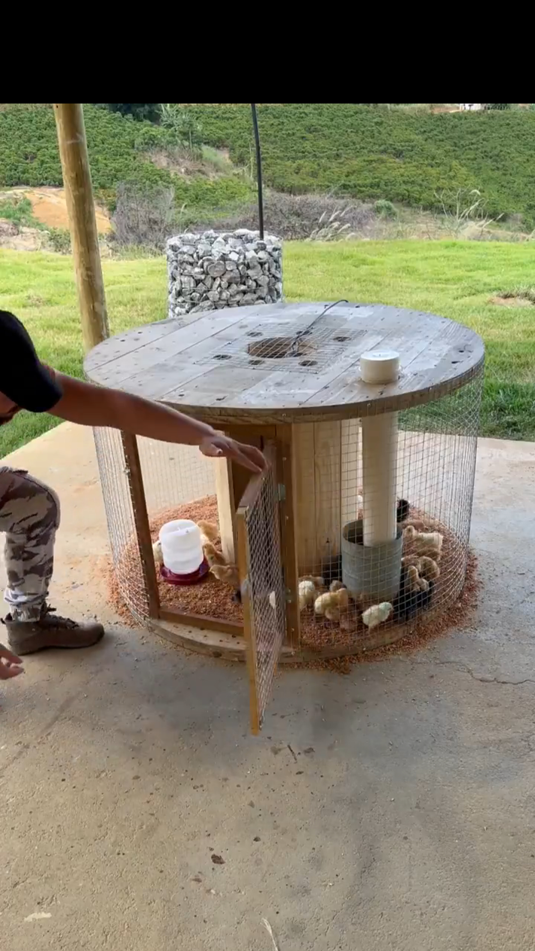 From Industrial Waste to Chicken Coop: A Brilliant DIY Transformation
