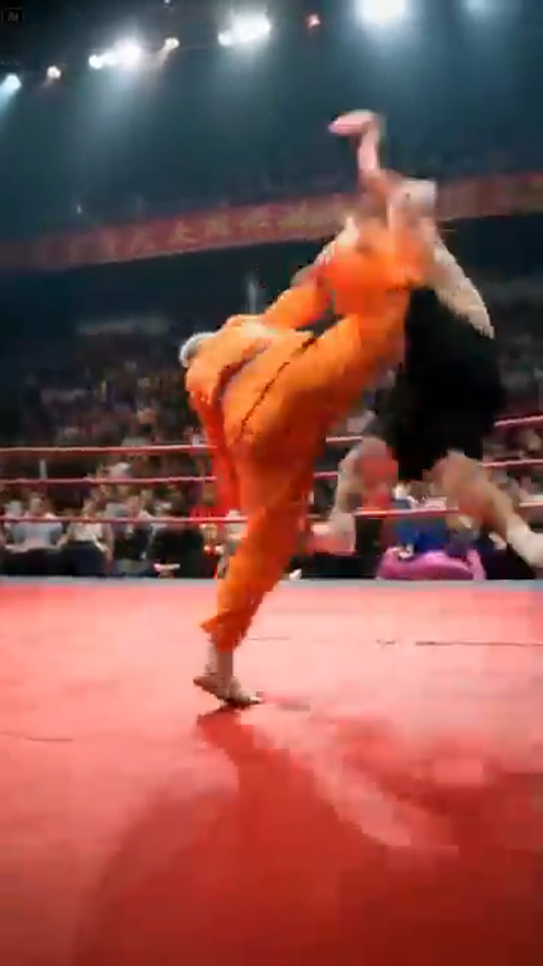 Kung Fu Master vs. Young Prodigy – A Legendary Duel Across Generations