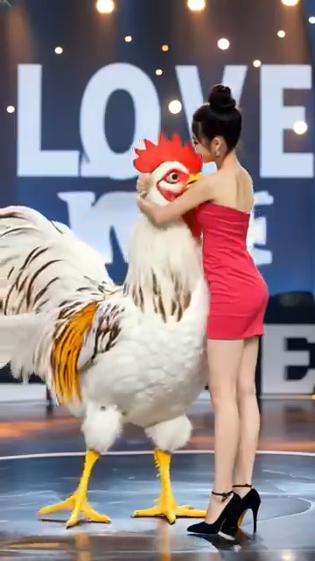 A Chicken and a Woman Take the AGT Stage by Storm! 🐔💃