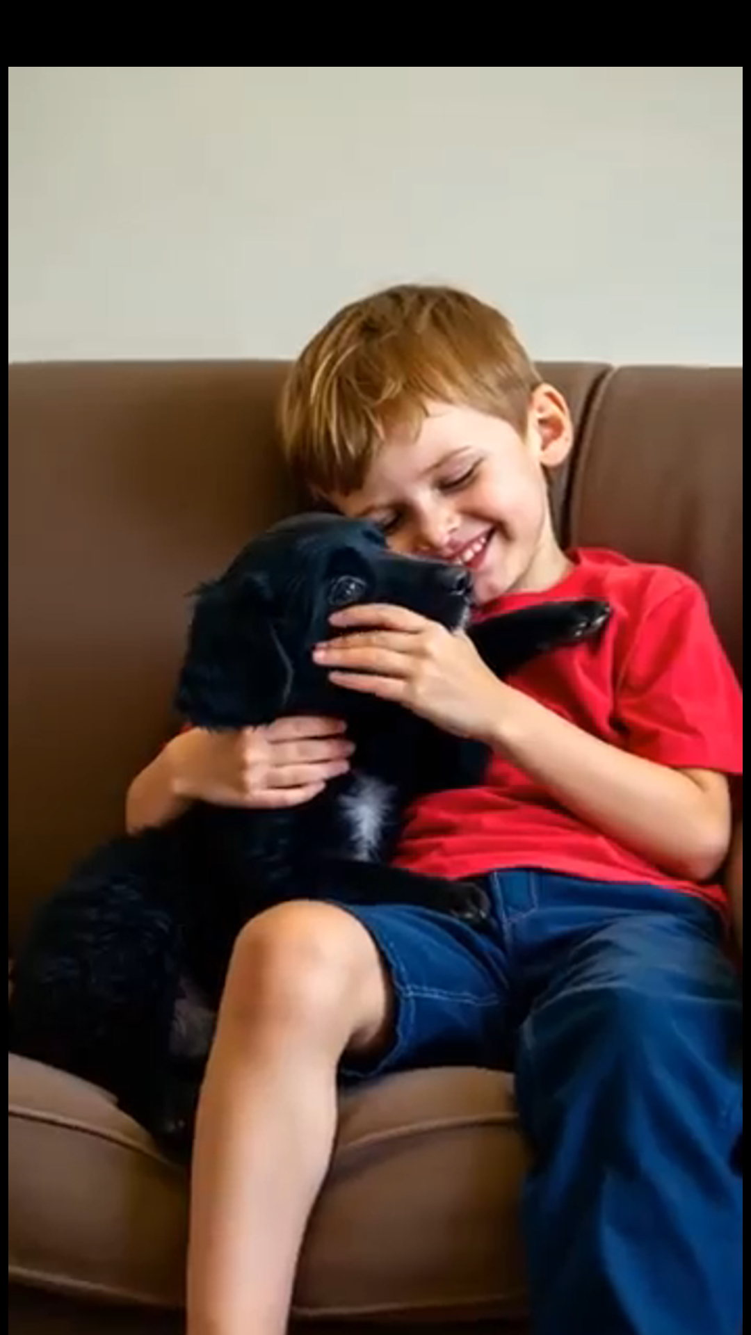 From Abandoned to Blessed: The Dog Who Found a Home With “Jesus”
