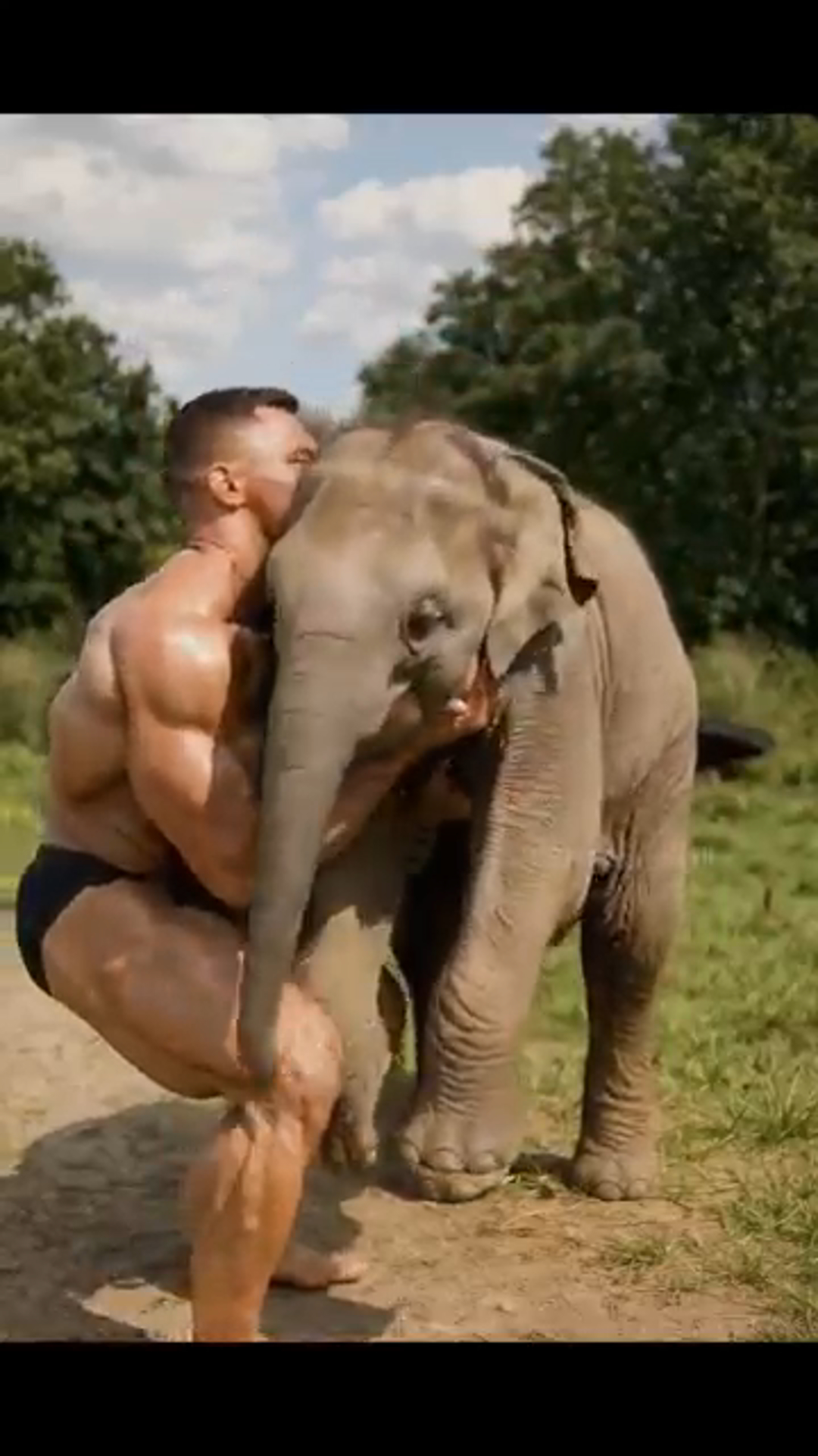 This Elephant’s Life-Changing Surprise Will Blow Your Mind! 🐘🎉
