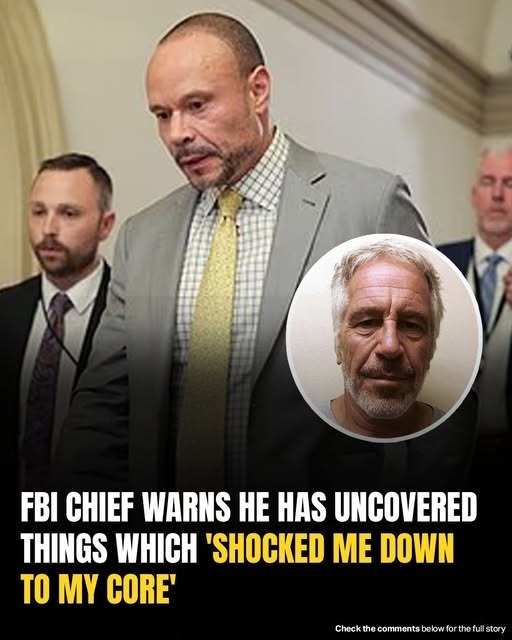 Top FBI Official Makes Chilling Claim About Epstein Investigation