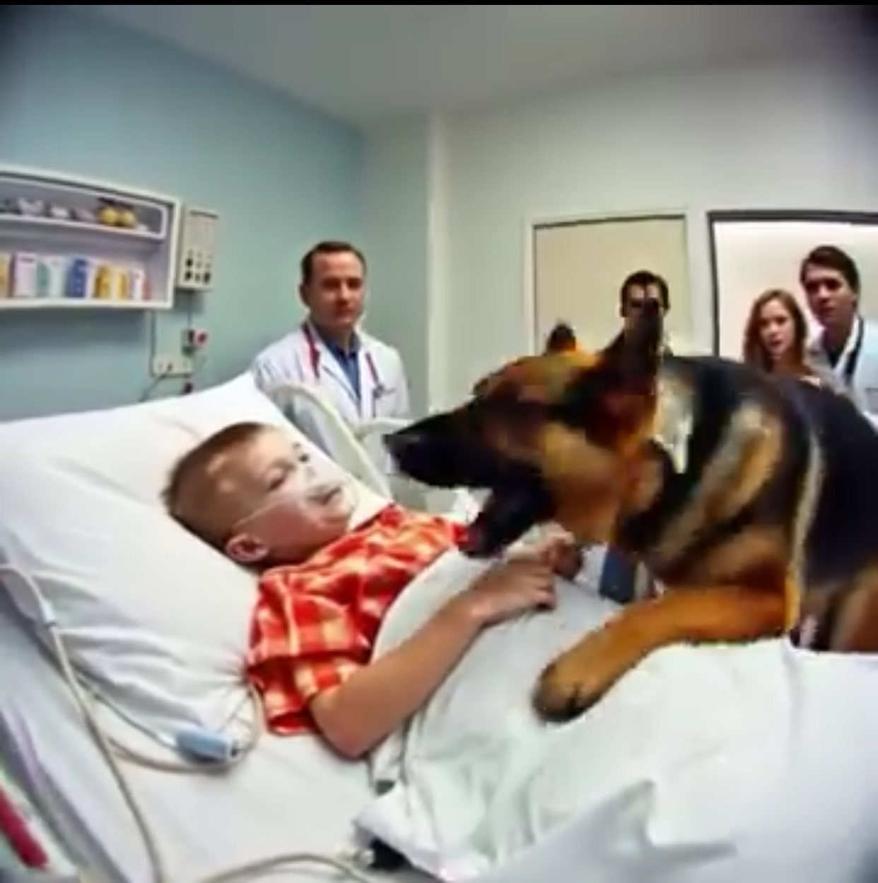 Retired K9 Refused to Leave Boy’s Bed and Bit the Frame — Then Doctors Made