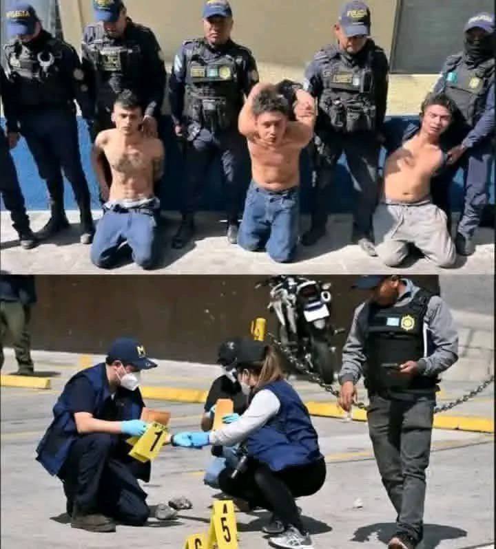 HT2. Breaking News: The most dangerous criminals have been captured…