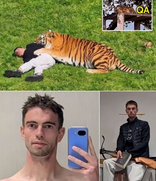 THE FINAL VIDEO FILMED BY THE TIGER ATTACK VICTIM HIMSELF HAS BEEN REVEALED — THE TIGER WAS STILL LYING MOTIONLESS AS HE APPROACHED, BUT THE UNUSUAL SOUNDS IN THE CLIP ARE THE DETAIL THAT SENDS CHILLS DOWN VIEWERS’ SPINES!